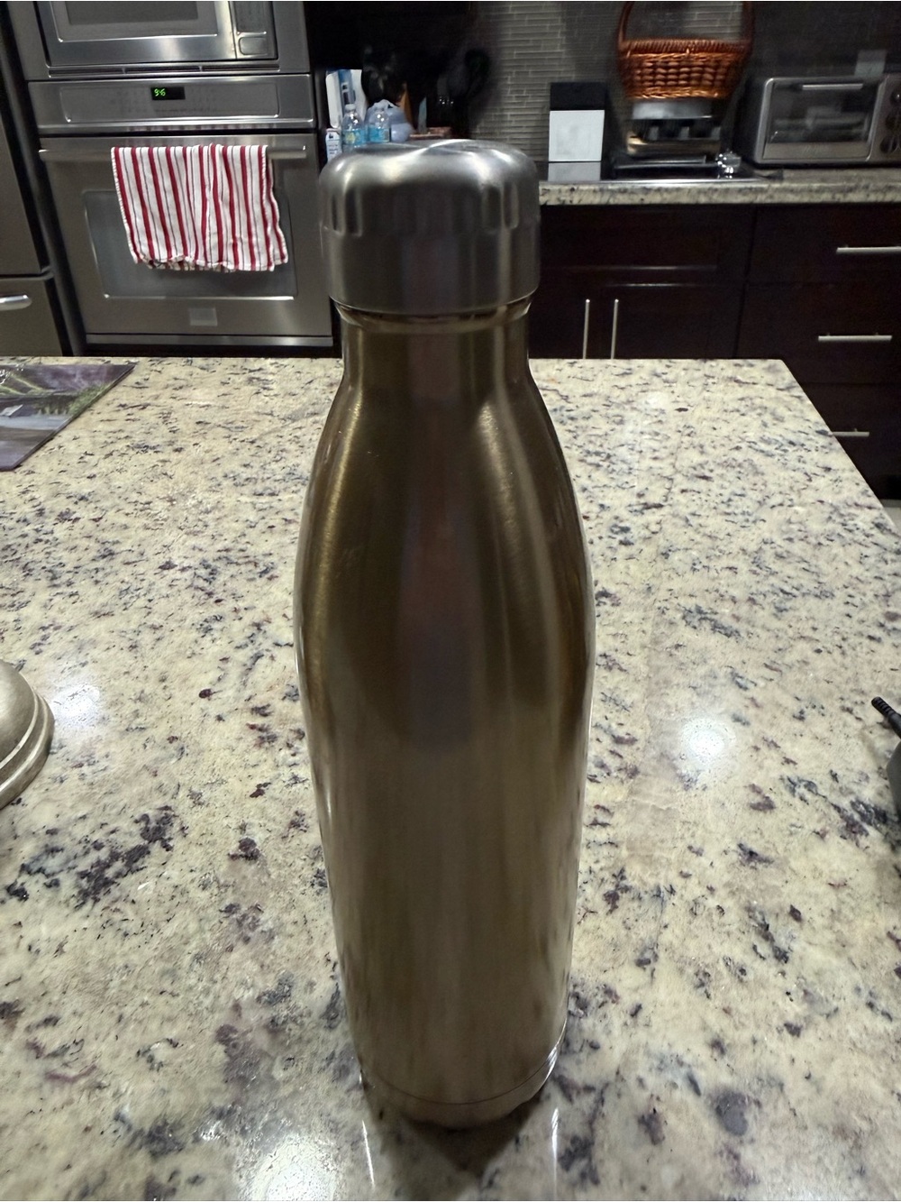 Metallic Bronze Insulated Water Bottle - Leakproof Thermos